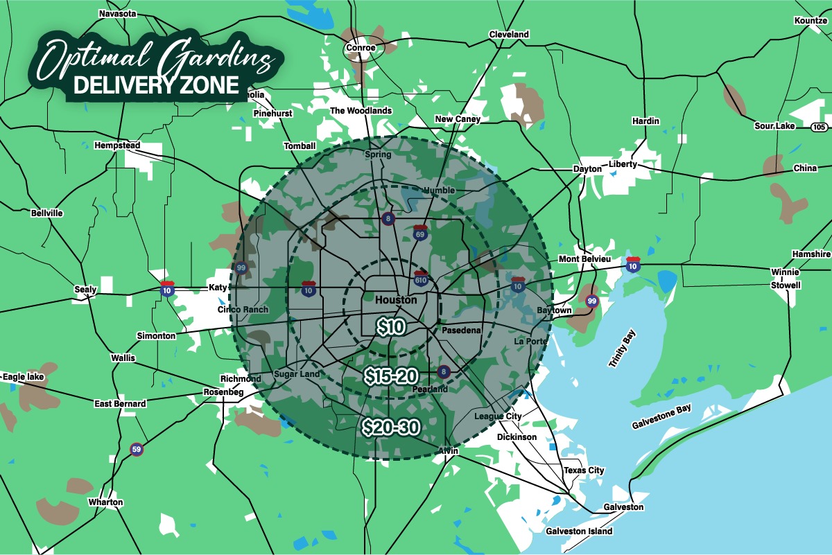 Cannabis Delivery in Houston TX