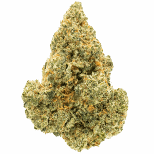 Exotic Flower