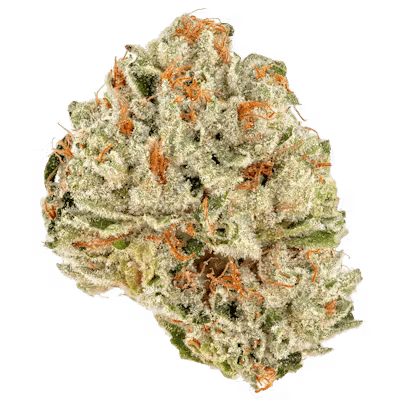 Sweet OG strain flower with frosty green buds, orange hairs, and earthy pine aroma.