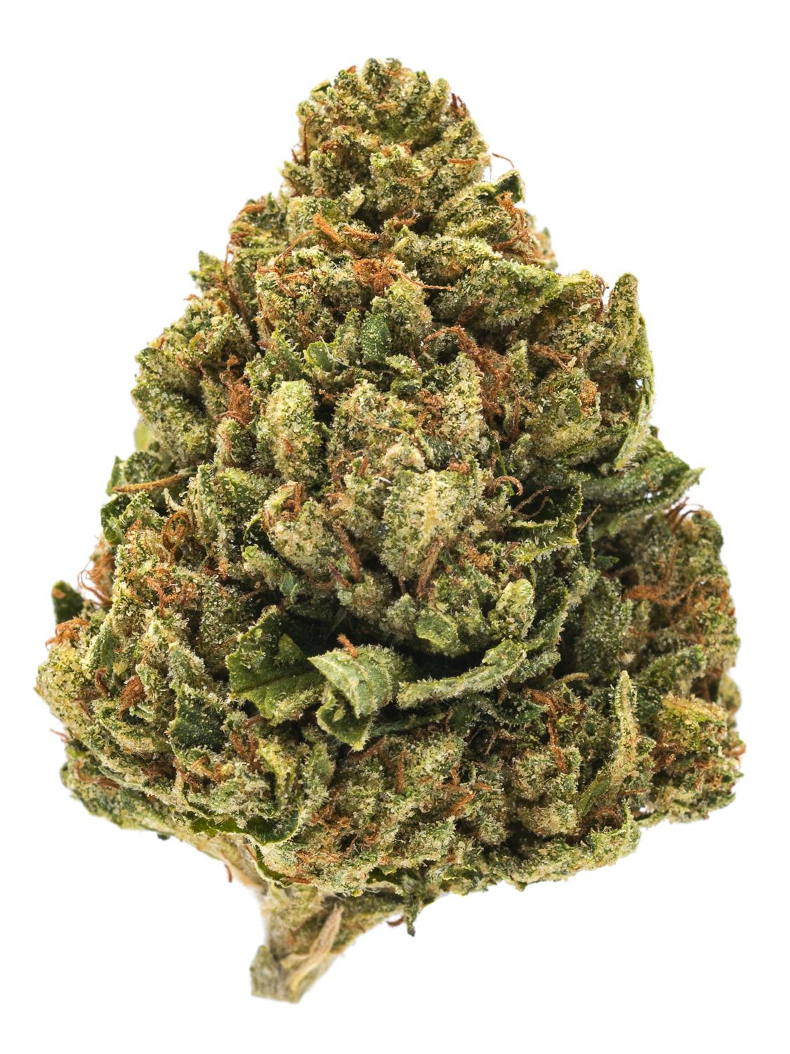 San Fernando Valley OG strain flower with frosty green buds, citrus-diesel aroma, and uplifting hybrid effects.