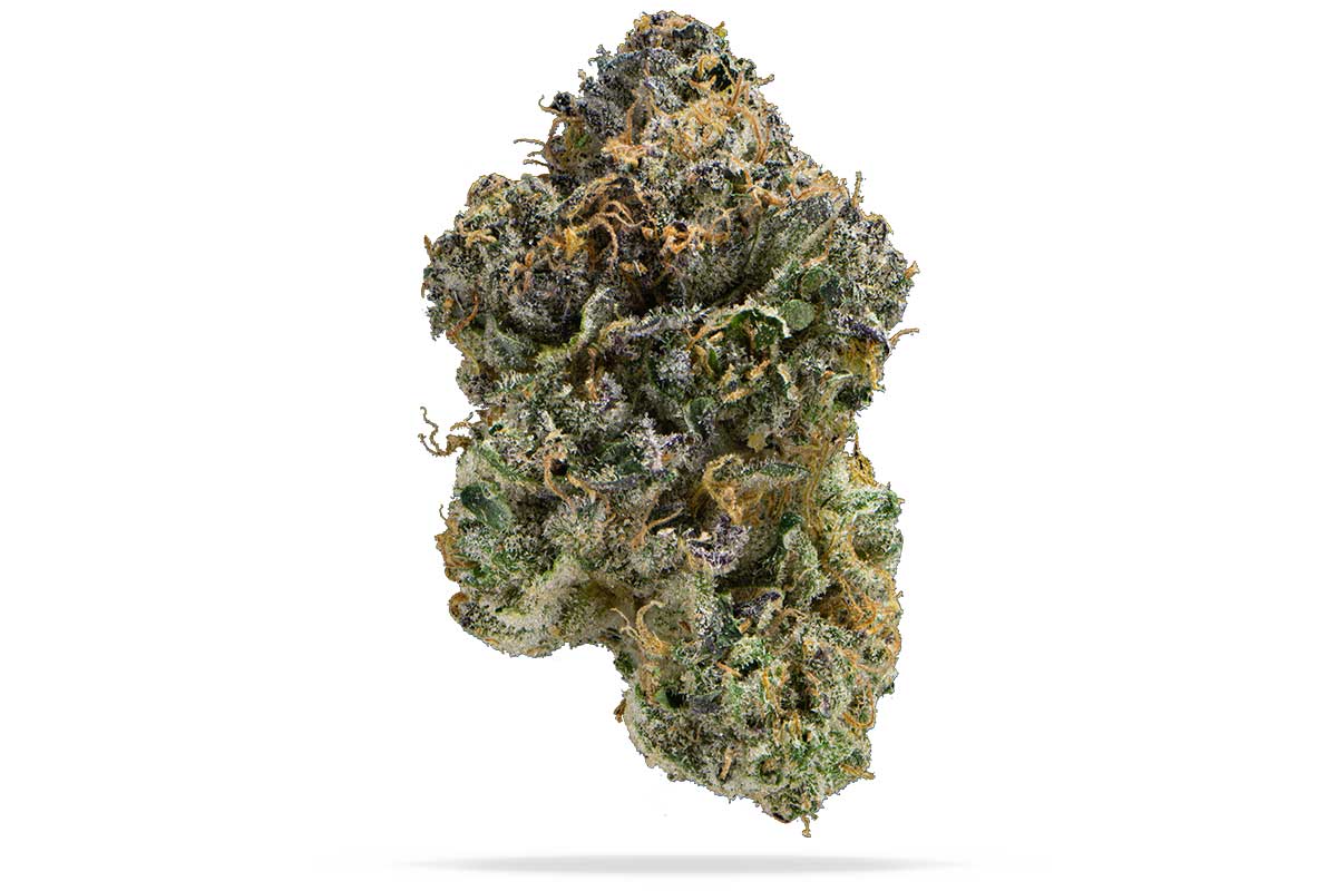 Permanent Marker cannabis flower featuring dense frosty green and purple buds coated in sparkling trichomes. This indica-leaning hybrid is known for sweet candy, diesel, and floral aromas with deeply relaxing yet mentally engaging effects.