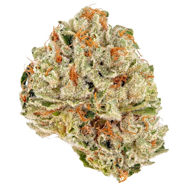 Lemon G13 strain flower with frosty green buds, citrus aroma, and uplifting sativa effects.