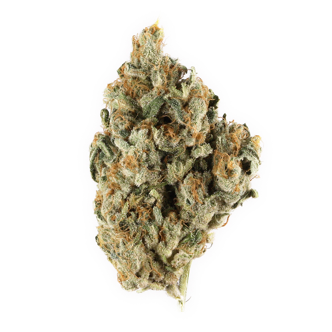 Close-up of Skywalker cannabis flower featuring dense green buds coated in frosty trichomes with bright orange hairs. Skywalker is a balanced hybrid known for sweet earthy aromas, calming effects, and smooth full-body relaxation.