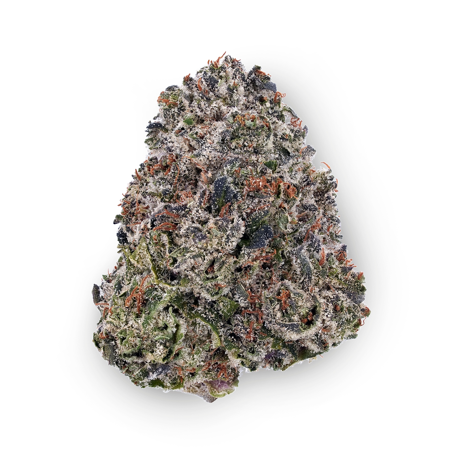 Close-up of Biscotti cannabis flower featuring dense green and purple buds covered in frosty trichomes with bright orange hairs. Biscotti is an indica-dominant hybrid known for sweet cookie, earthy, nutty, and diesel aromas.
