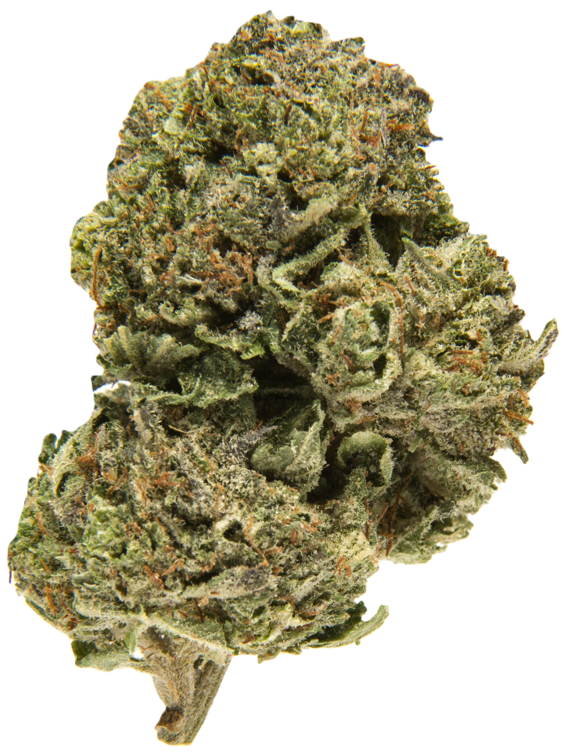 Platinum Bubba cannabis flower with dense frosty green and purple buds, bright orange hairs, and heavy trichome coverage, an indica known for earthy, sweet, pine, and gassy aromas.
