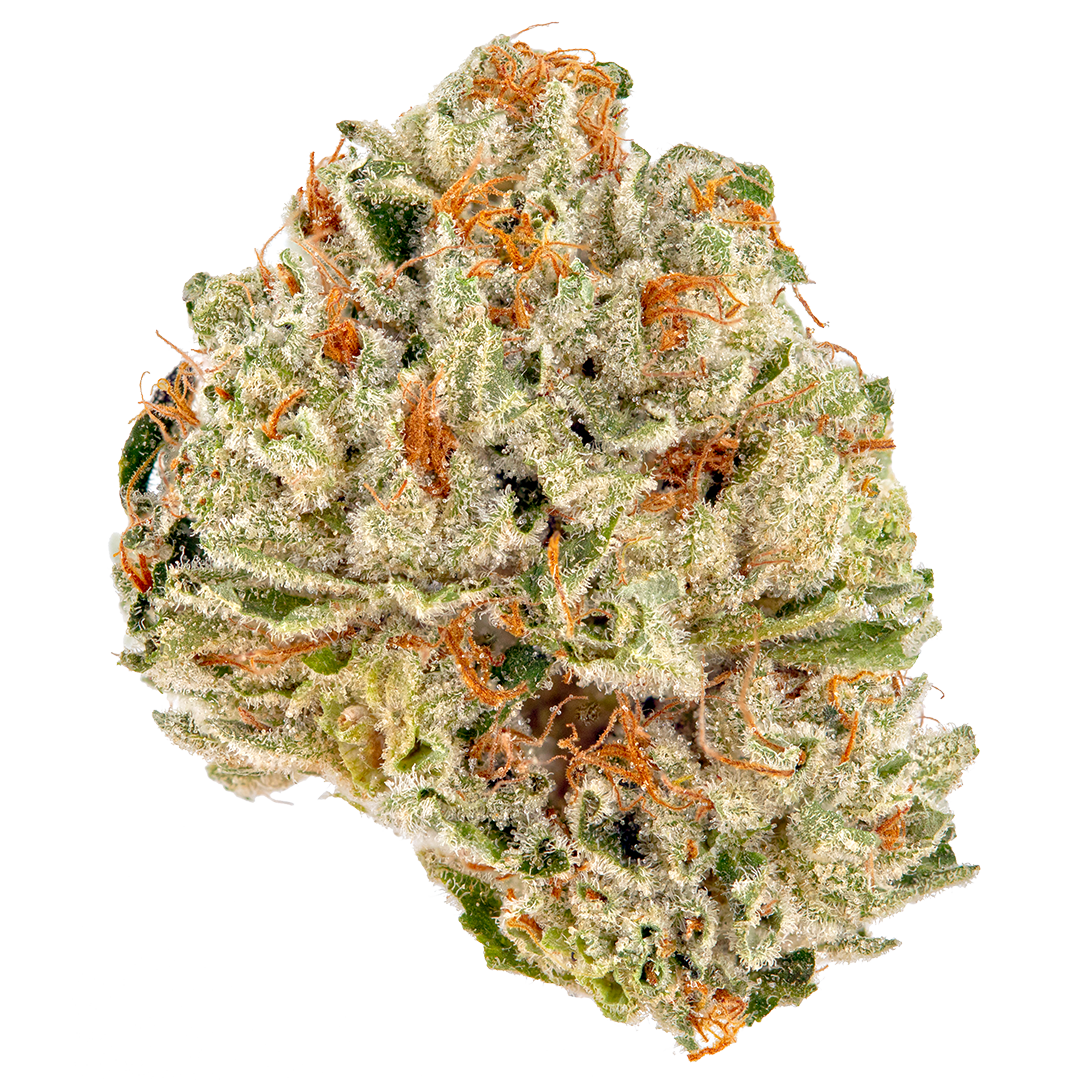 Sour Umami cannabis flower with dense frosty green buds and visible trichomes, a hybrid known for sour, savory, earthy, and gassy aromas.