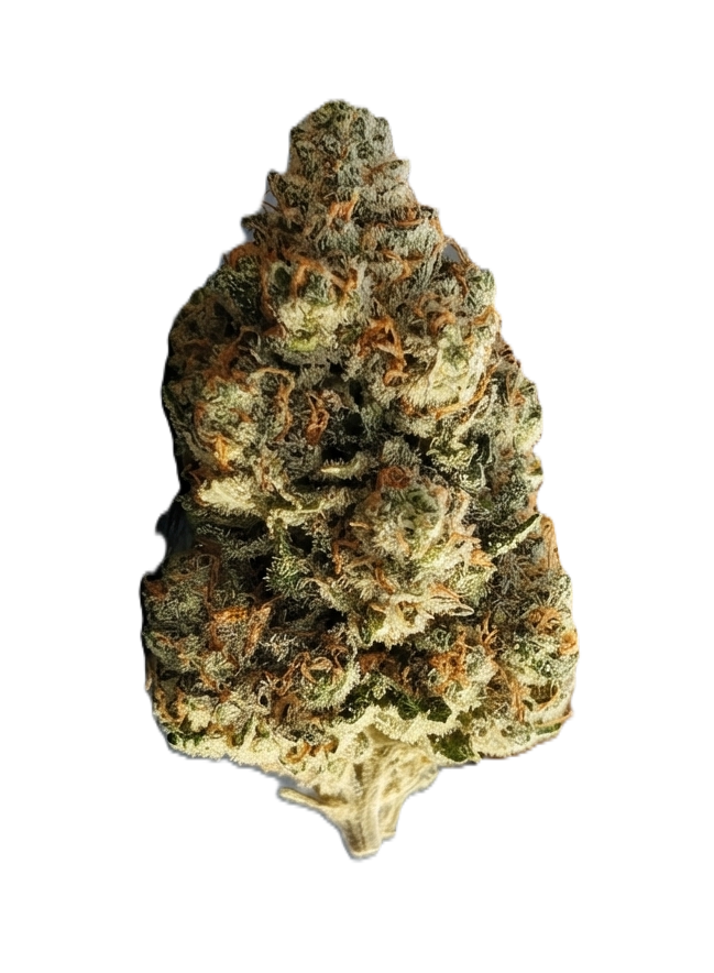 Space Taxi cannabis flower with frosty green buds and visible trichomes, a sativa known for fruity, citrus, and gassy aromas.